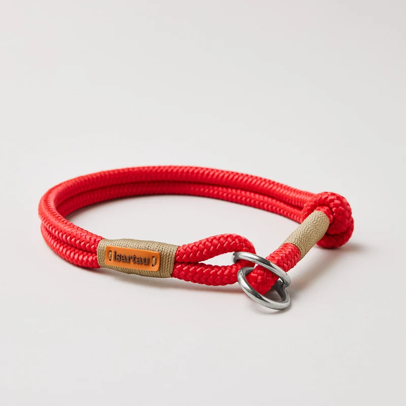 Zugstopp-Halsband Red Fairy GOLD