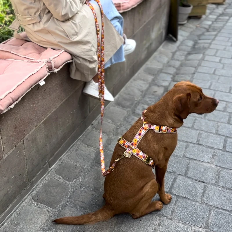 Designerleine BLUMENMEER, 250 cm (Umhängeleine)