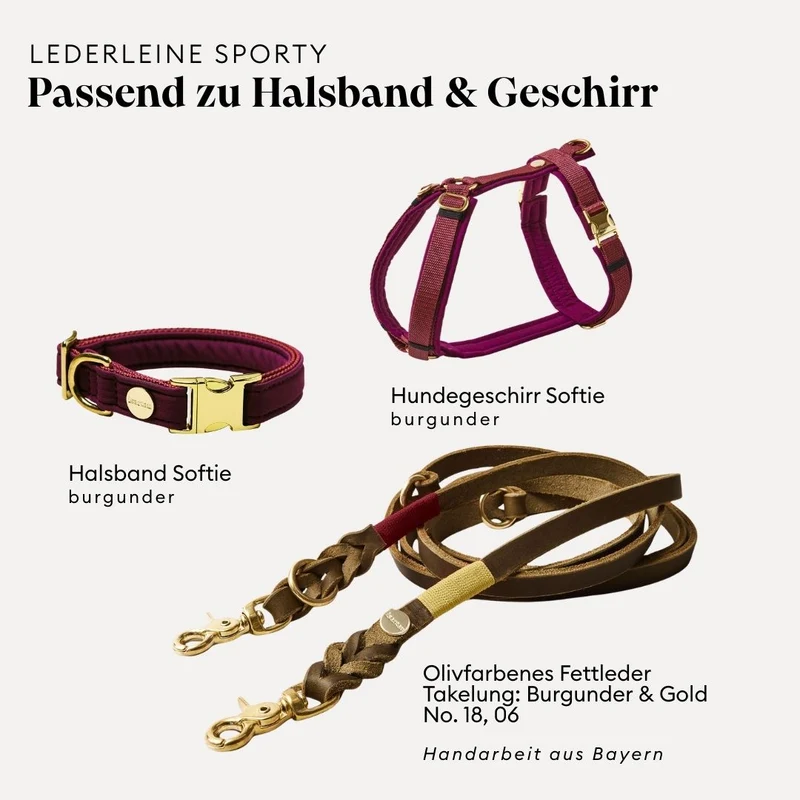 Lederleine SPORTY 190 cm, OLIV (Standard Leine)