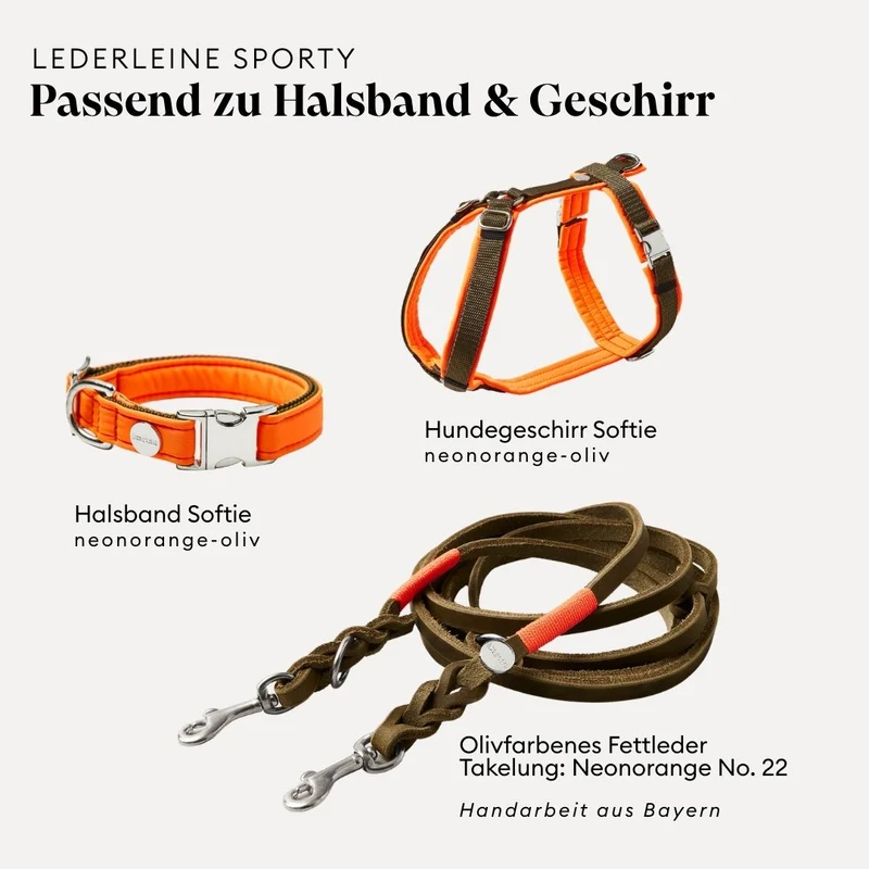 Lederleine SPORTY 190 cm, OLIV (Standard Leine)