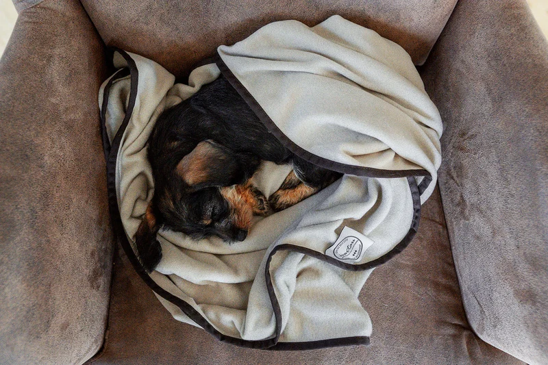 Hundedecke Schmusefleece BEIGE, 100×140 cm