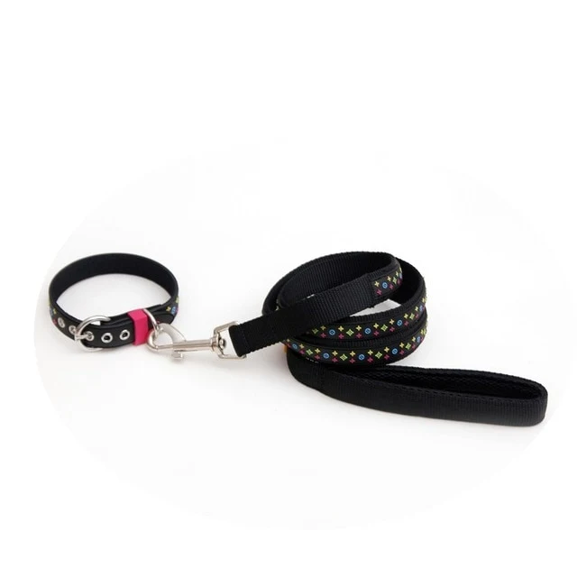 Dog Collar