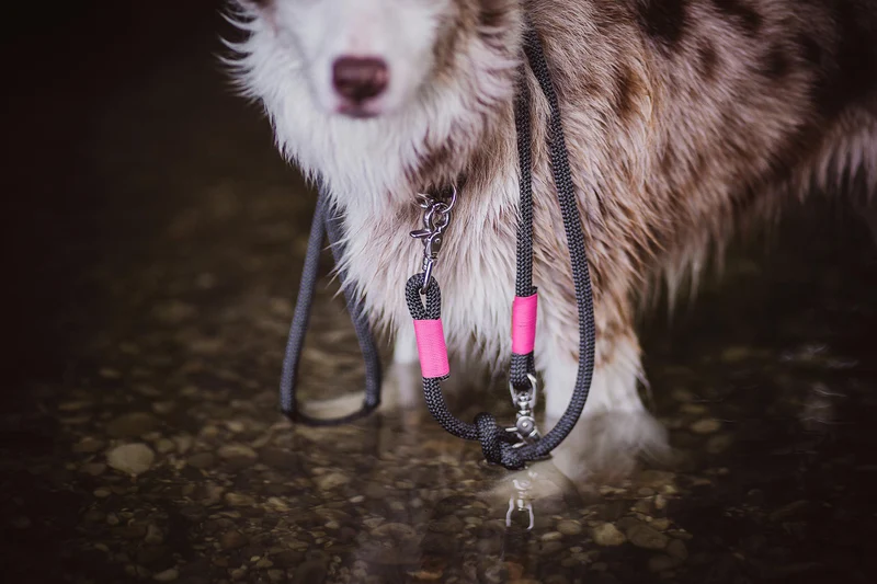 Festes Halsband Heaven's Rock NEONPINK
