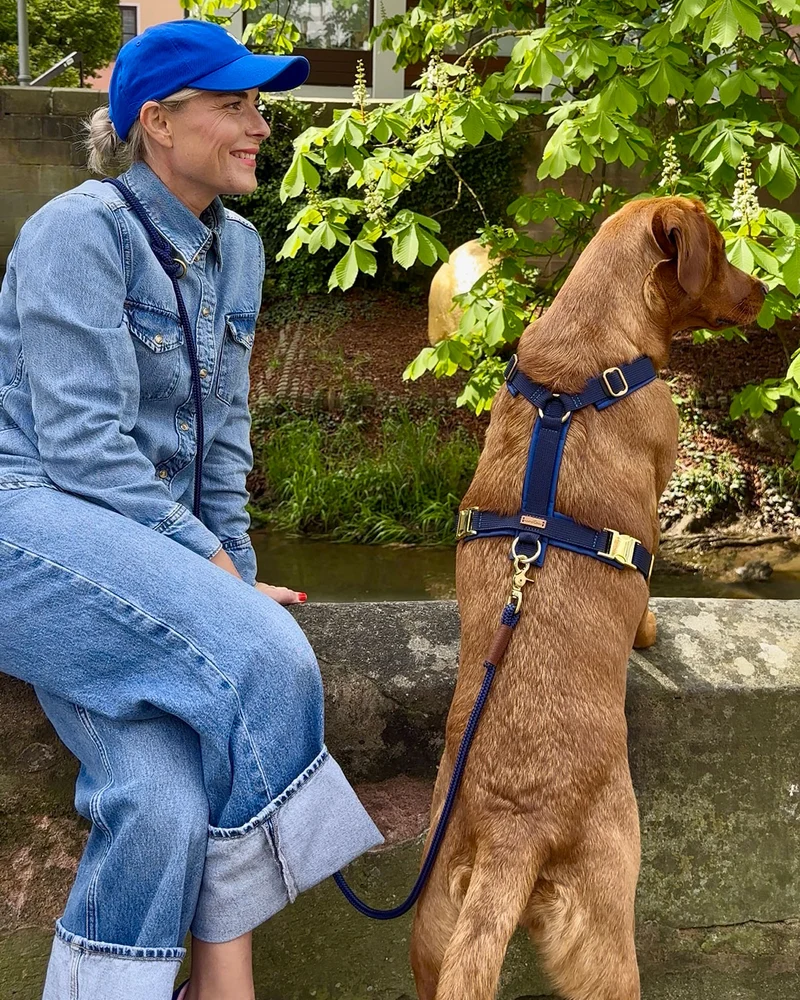 Hundegeschirr Softie DUNKELBLAU