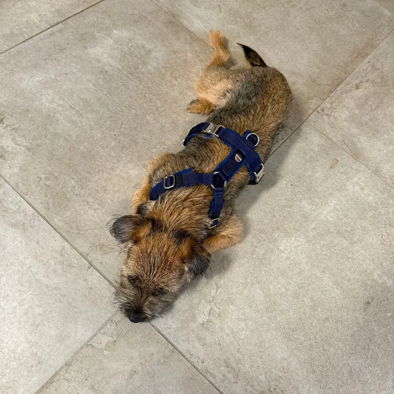 Hundegeschirr Softie DUNKELBLAU
