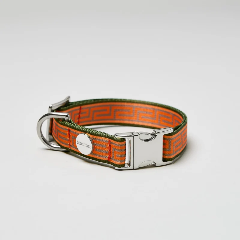 Welpenhalsband WELLENBRECHER