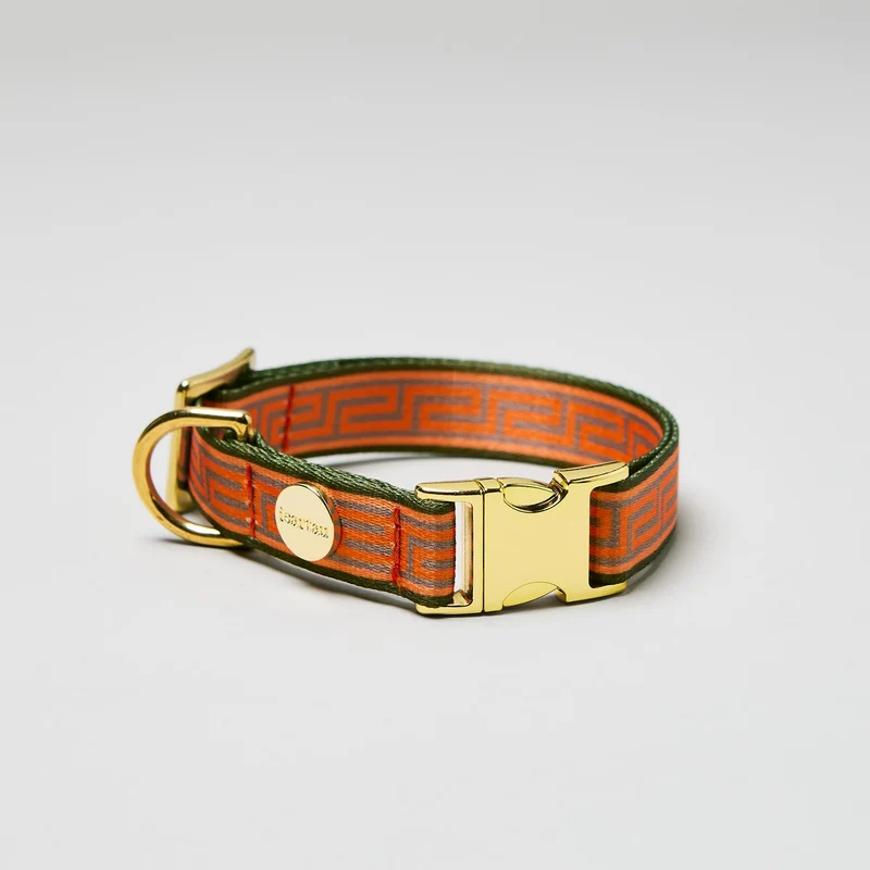 Welpenhalsband WELLENBRECHER
