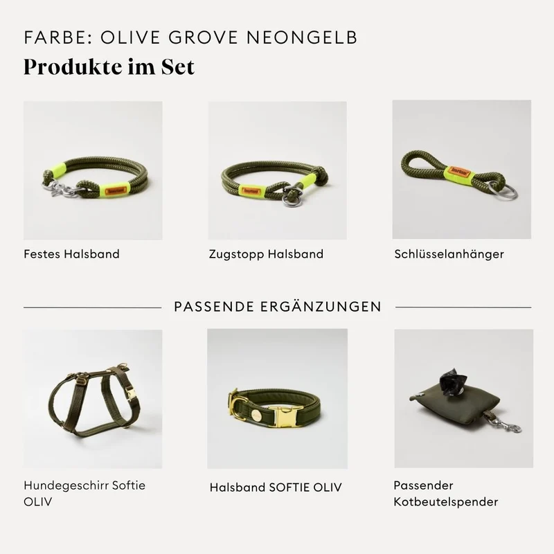 Festes Halsband Olive Grove NEONGELB