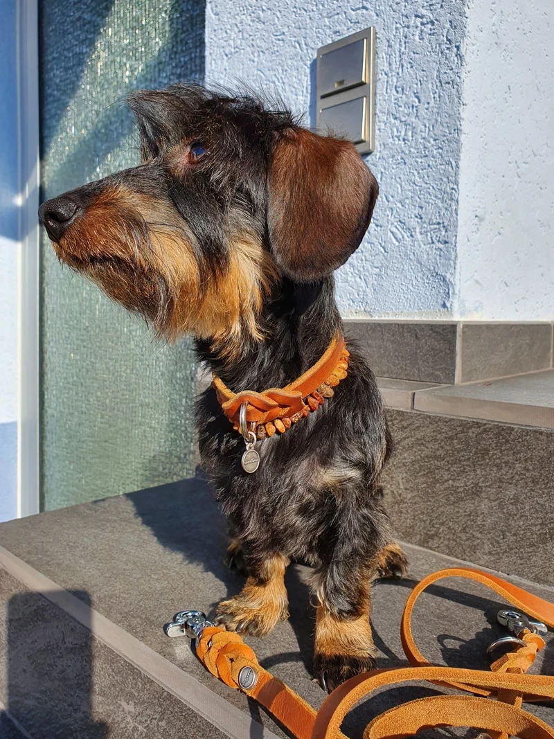 Markenband Leder, SCHWARZ
