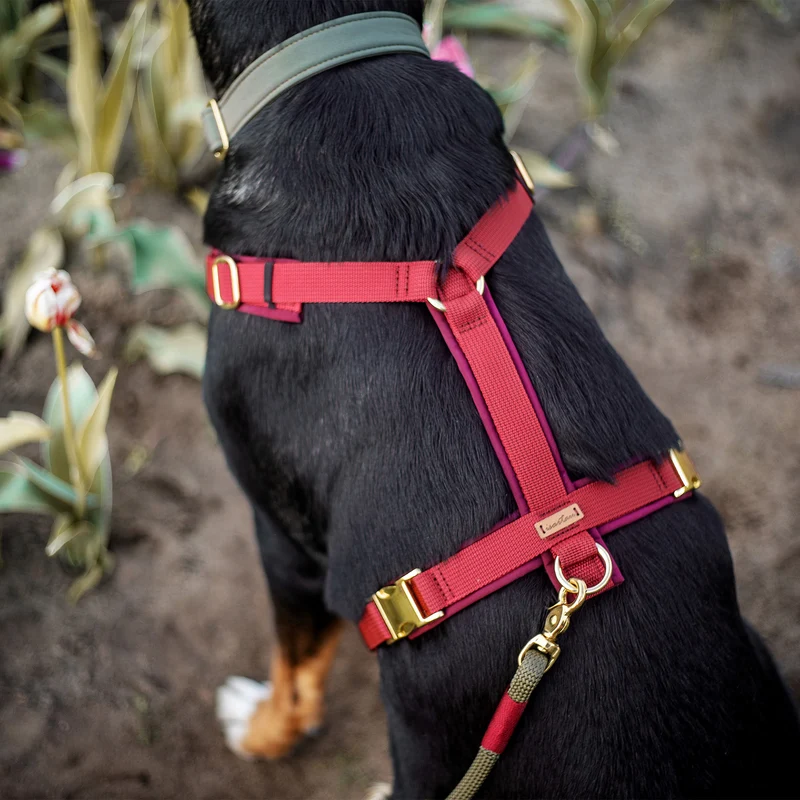 Hundegeschirr Softie BURGUNDER