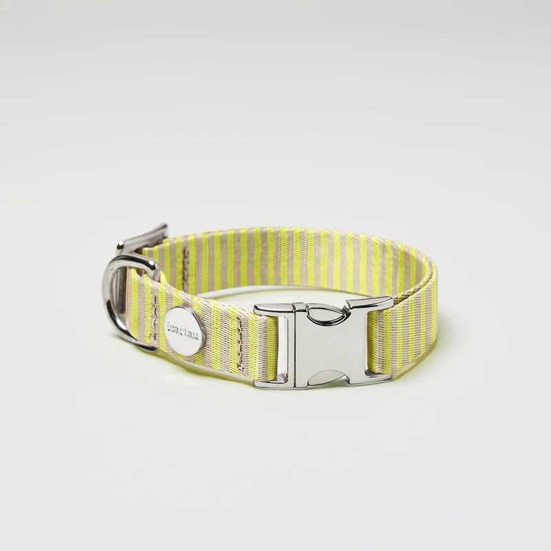 Welpenhalsband SUNNY