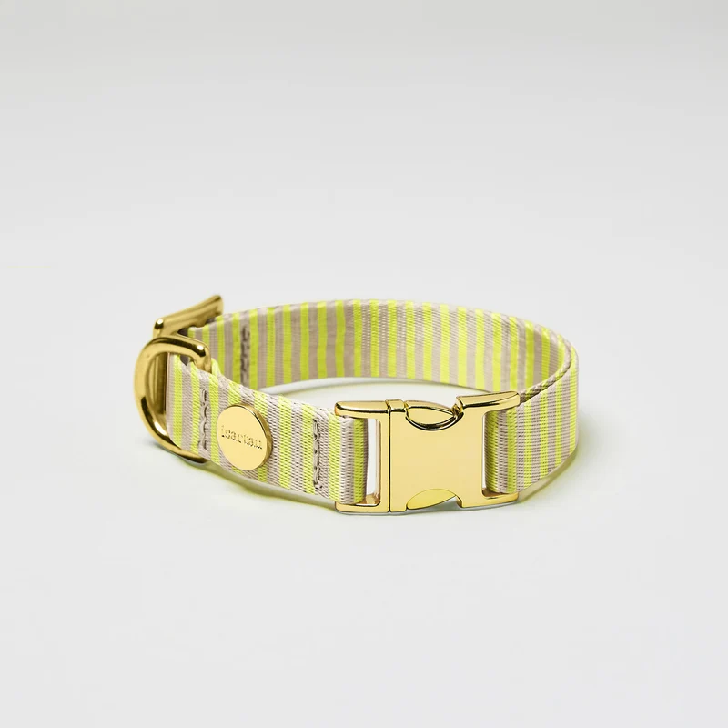 Designerhalsband SUNNY