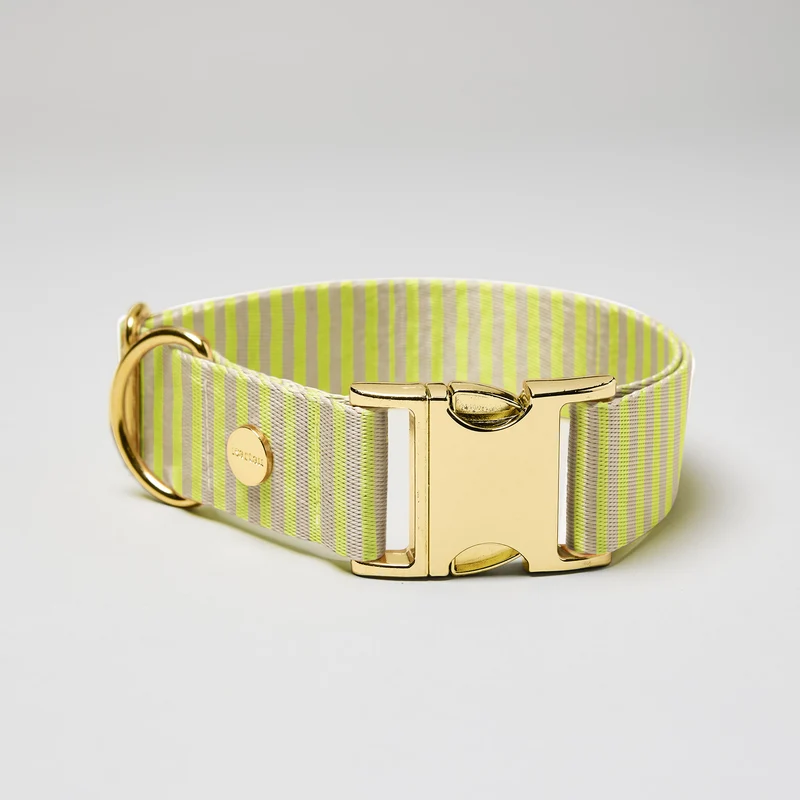 Designerhalsband SUNNY