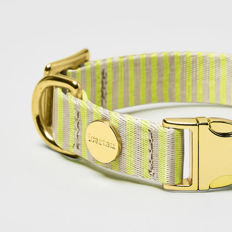 Designerhalsband SUNNY
