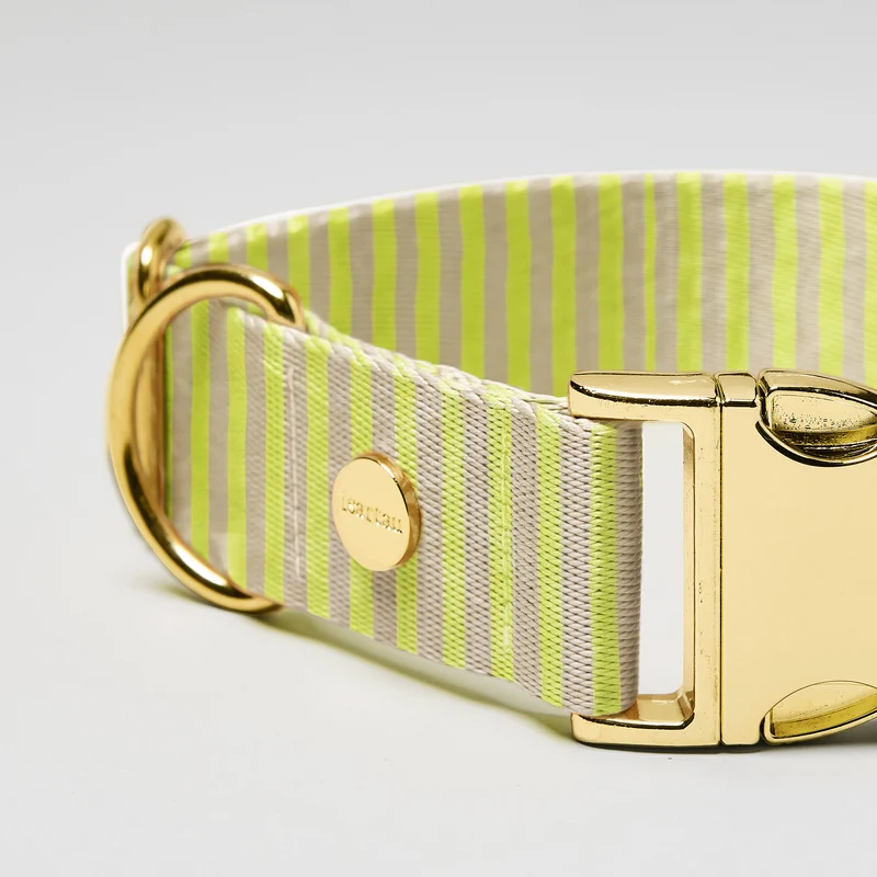 Designerhalsband SUNNY