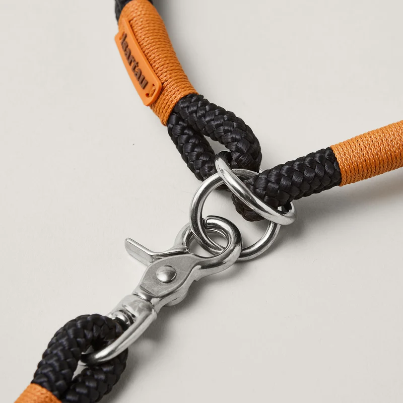 Zugstopp-Halsband Black Mamba ROST-ORANGE