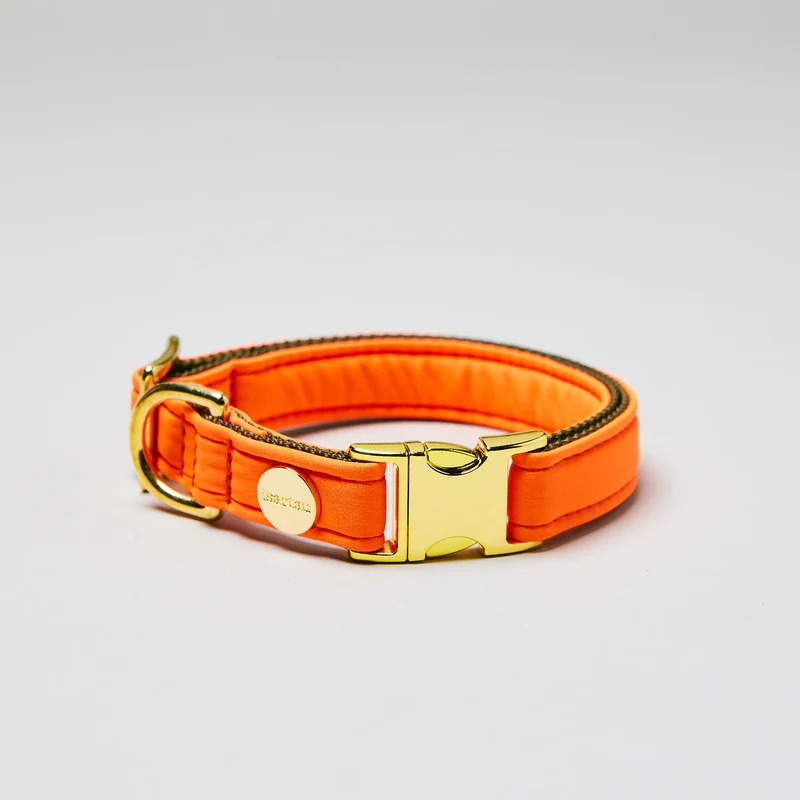 Welpenhalsband Softie NEONORANGE-OLIV