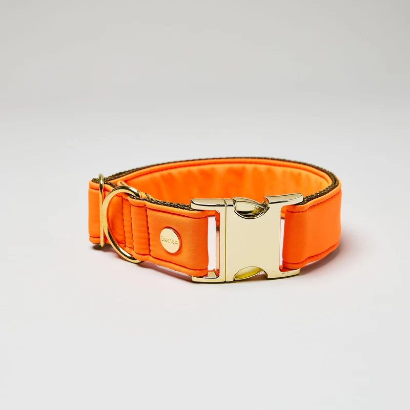 Halsband Softie NEONORANGE-OLIV