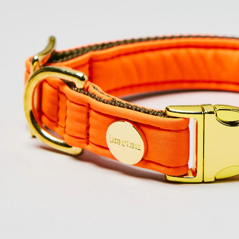 Halsband Softie NEONORANGE-OLIV