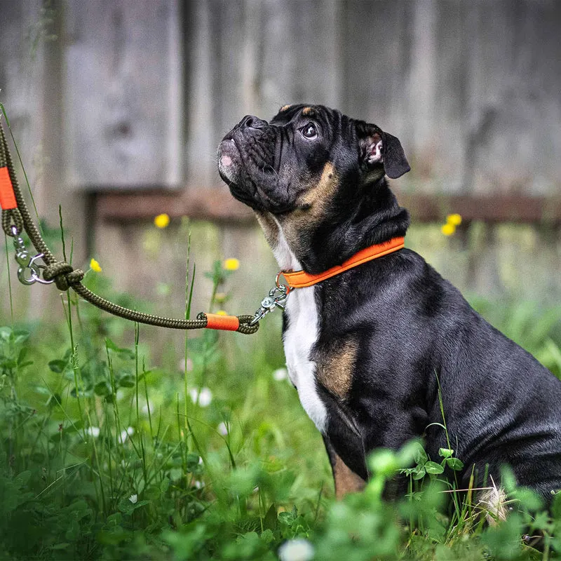 Halsband Softie NEONORANGE-OLIV