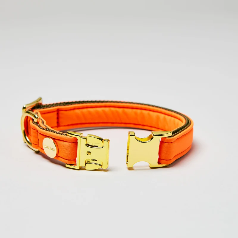 Halsband Softie NEONORANGE-OLIV