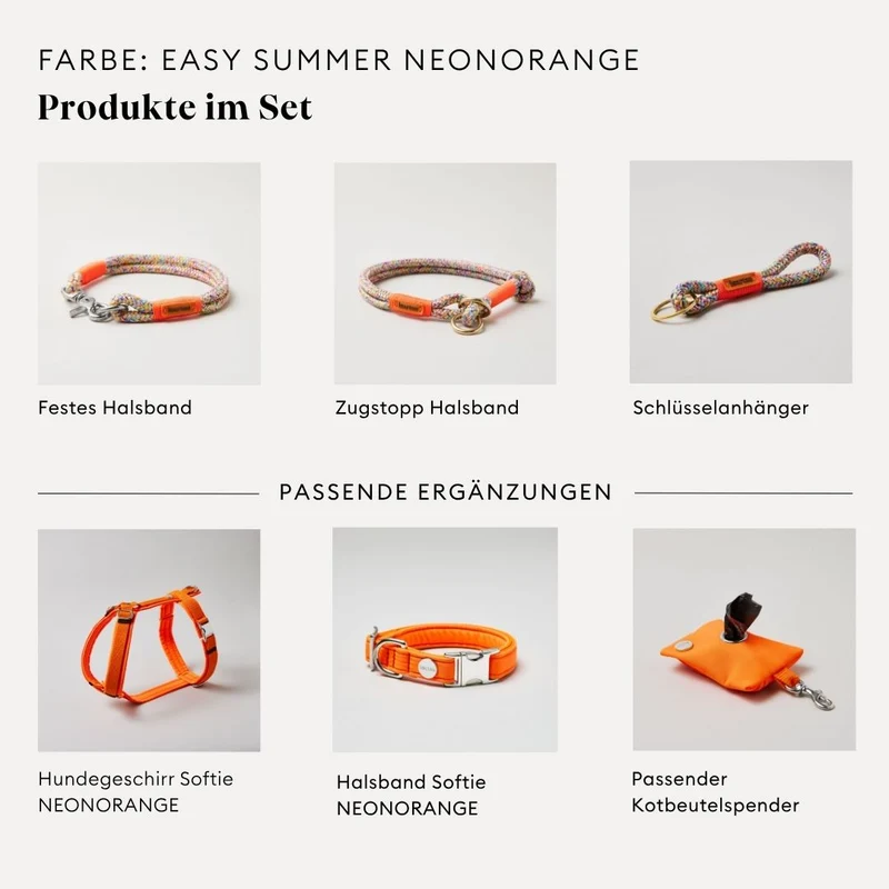 Zugstopp-Halsband Easy Summer NEONORANGE