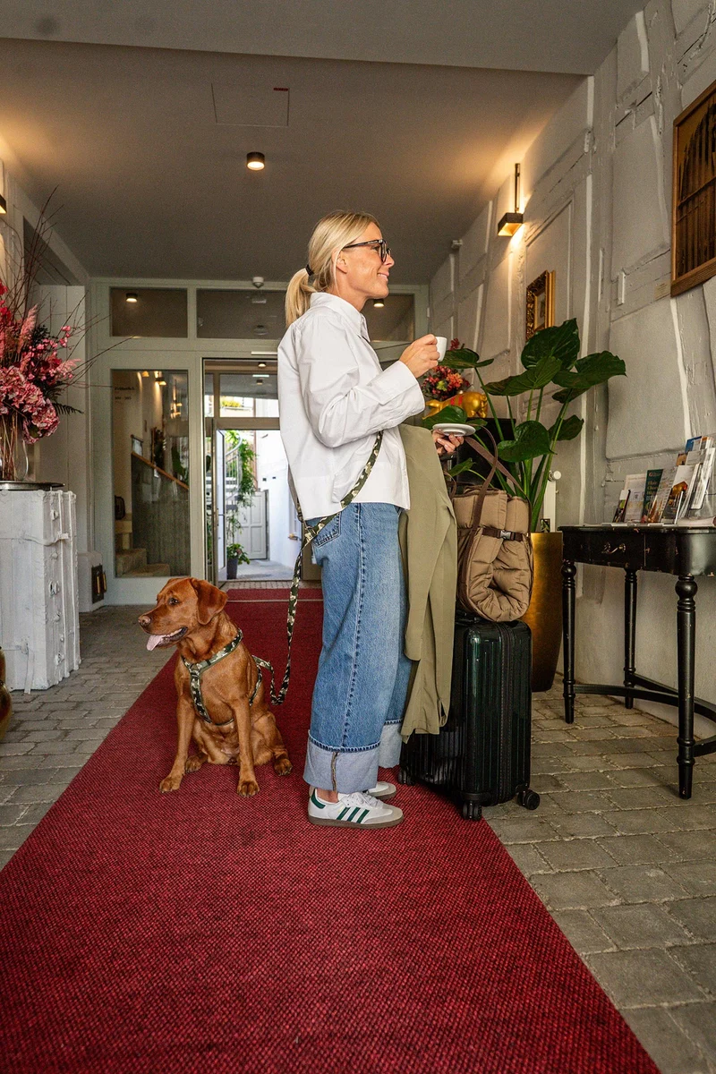 Designerleine ENTDECKER, 250 cm (Umhängeleine)