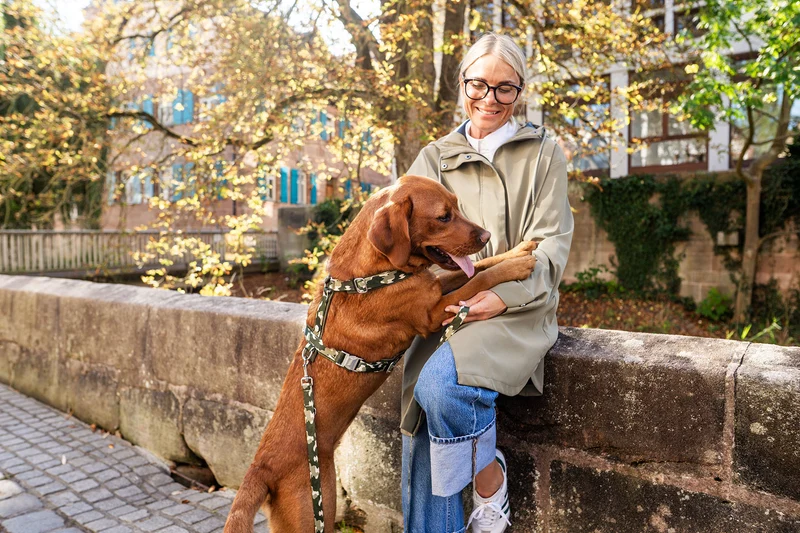 Hundegeschirr ENTDECKER