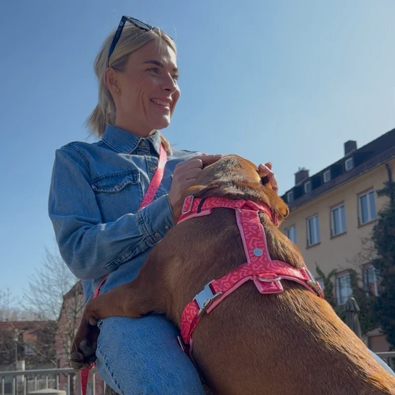 Hundegeschirr SWEETY