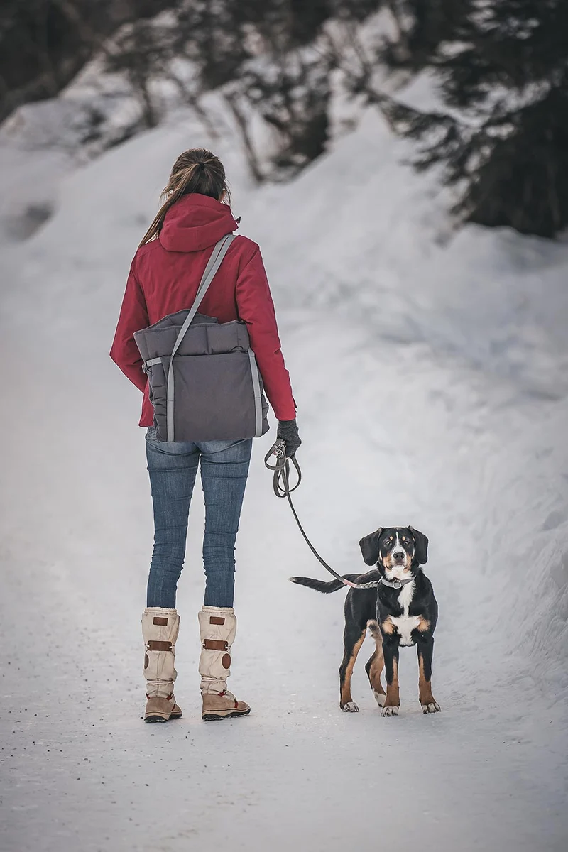 2-in-1 Hunde-Reisedecke Pocket GRAU, 100×75 cm