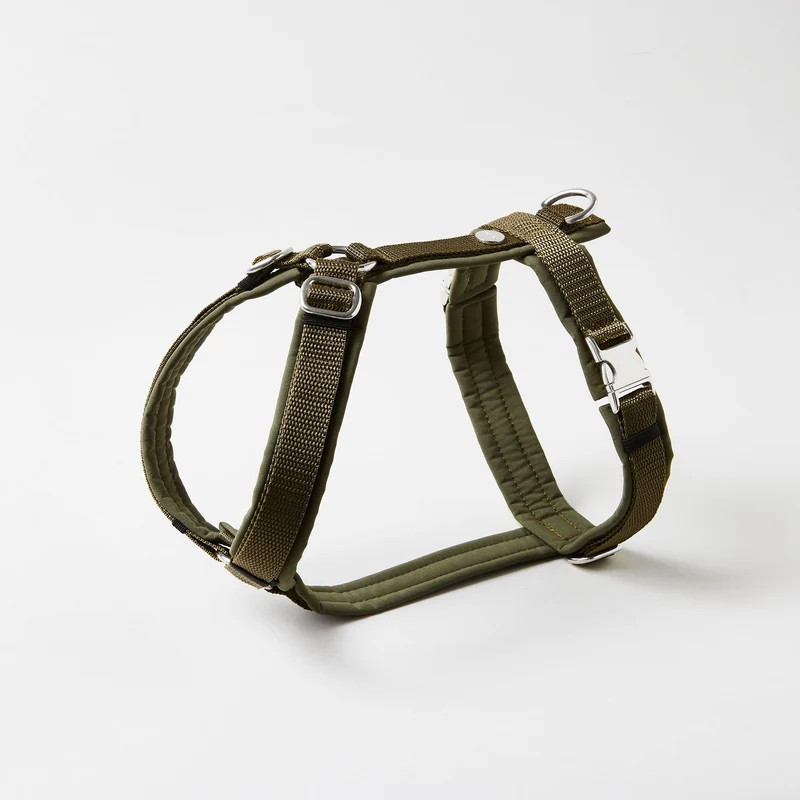 Hundegeschirr Softie OLIV