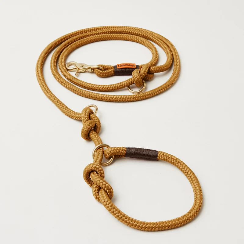 Tau-Retrieverleine Sweet Toffee DUNKELBRAUN, 190 cm (integrierte Halsung)