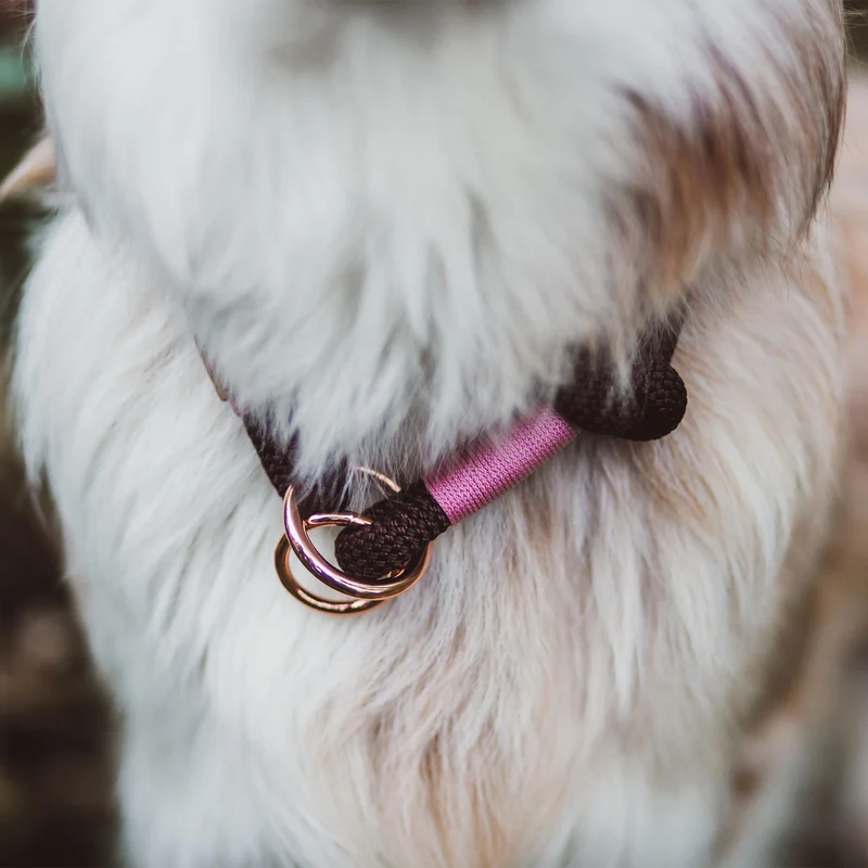 Zugstopp-Halsband Classy Chestnut ROSE