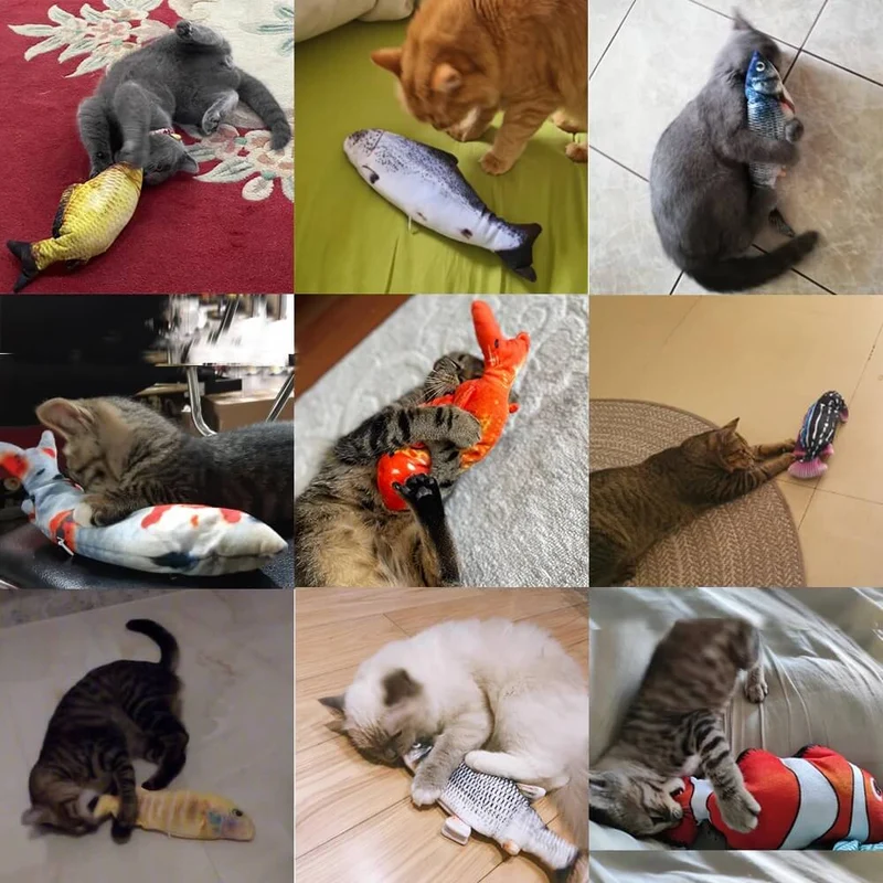 ES-FUN ™ FISH KICKER TOY