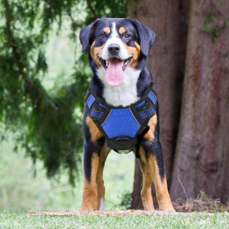 ES-FUN™ NO PULL DOG HARNESS