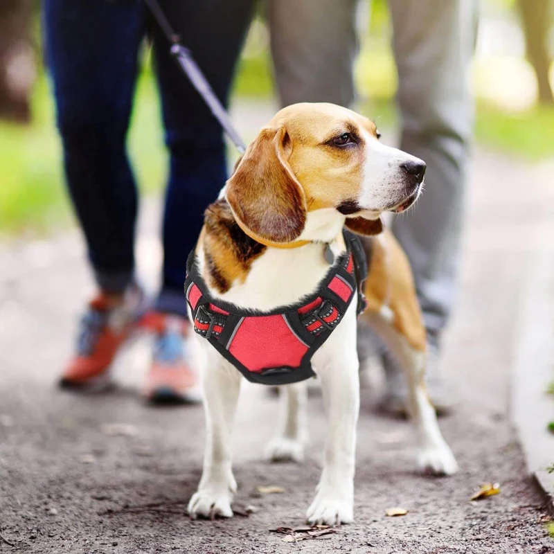 ES-FUN™ NO PULL DOG HARNESS