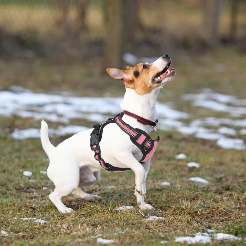 ES-FUN™ NO PULL DOG HARNESS