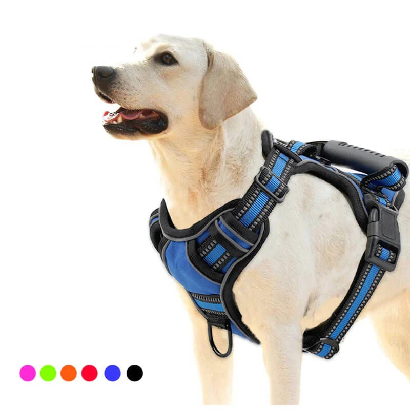 No Pull Dog Harness With 2 Leash Clips