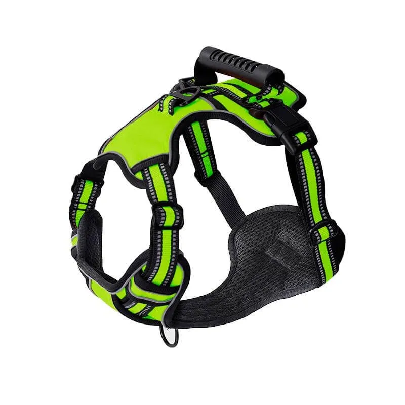 No Pull Dog Harness With 2 Leash Clips