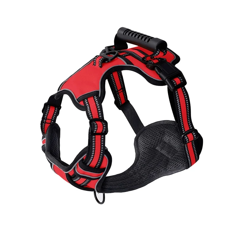 No Pull Dog Harness With 2 Leash Clips