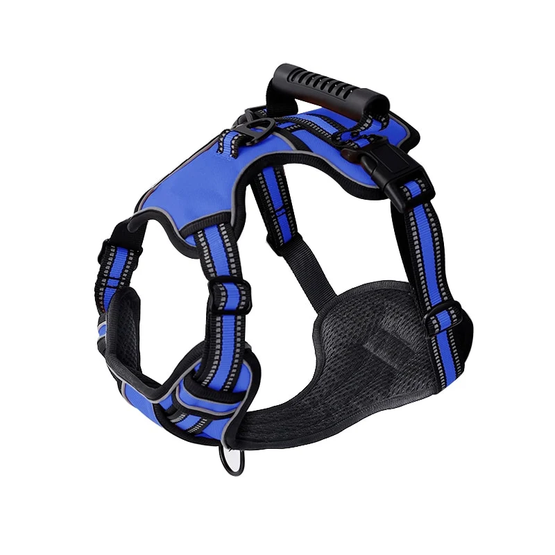 No Pull Dog Harness With 2 Leash Clips