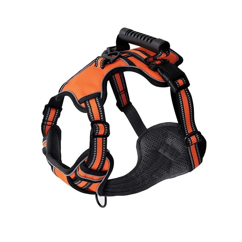 No Pull Dog Harness With 2 Leash Clips