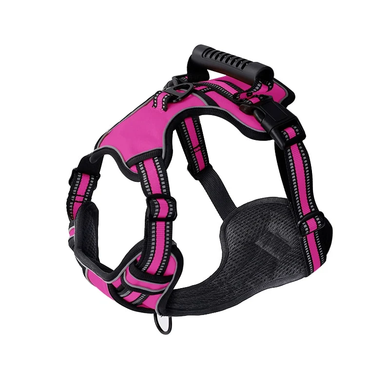 No Pull Dog Harness With 2 Leash Clips