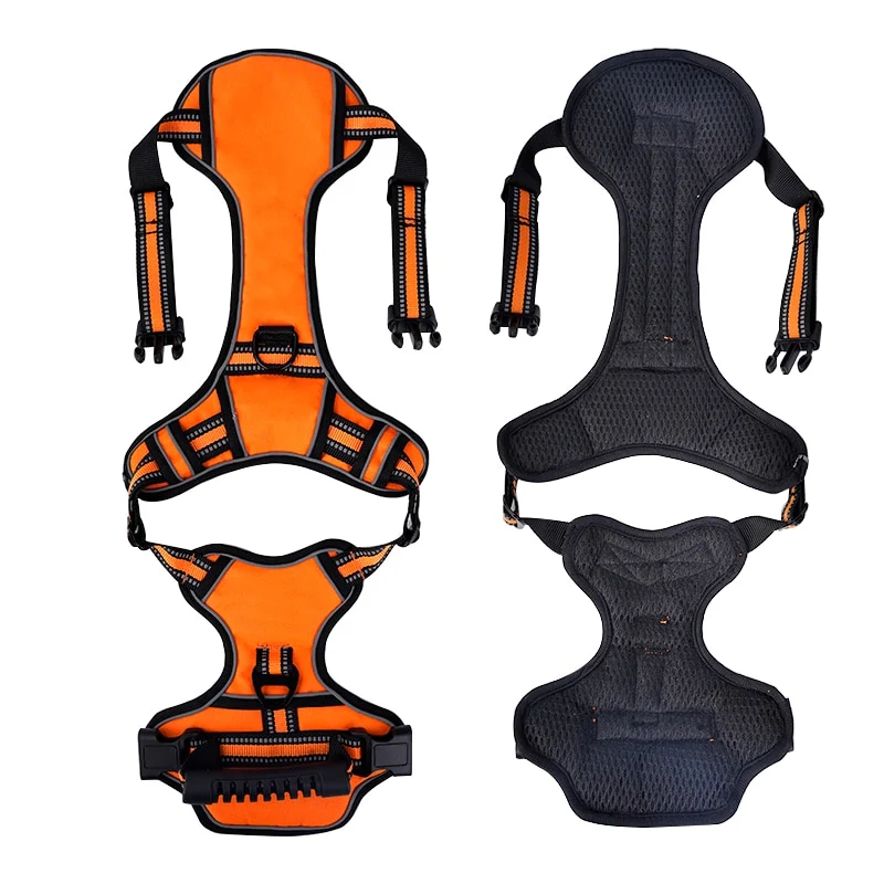 No Pull Dog Harness With 2 Leash Clips