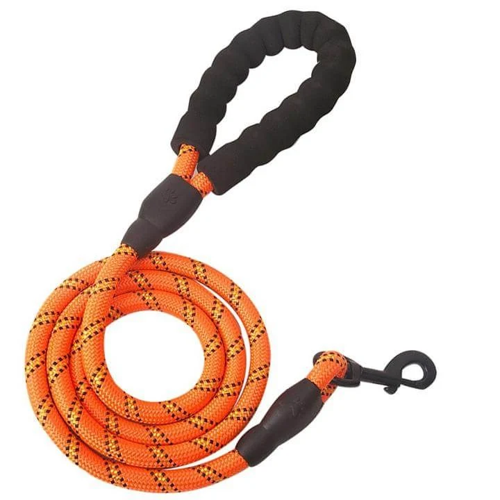 5 ft. (1.5m) ES-FUN™ DOG LEASH
