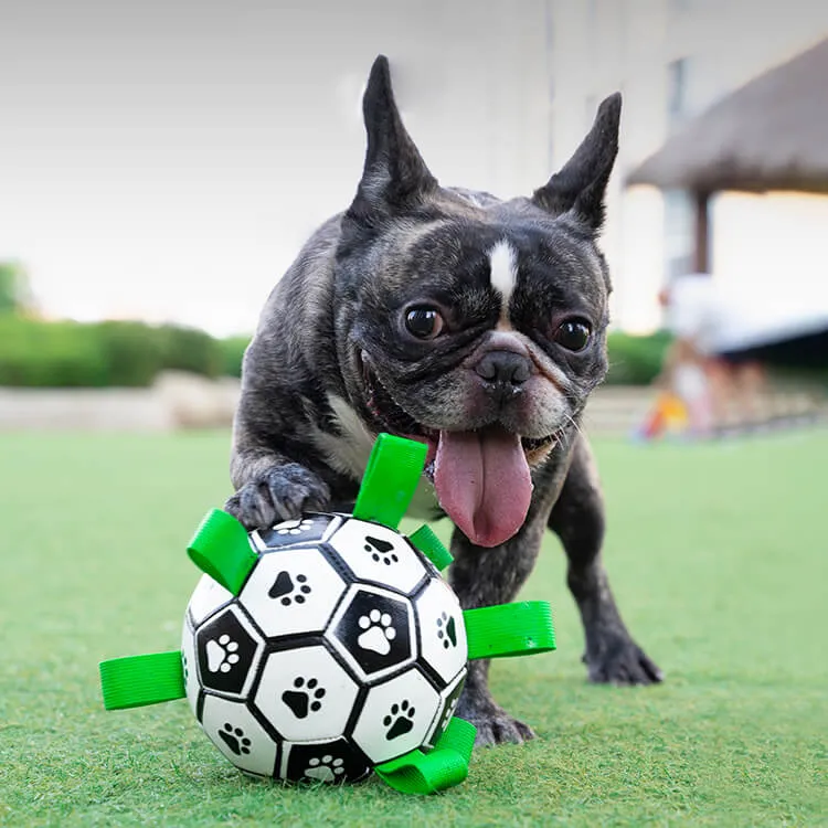 Dog Soccer Ball