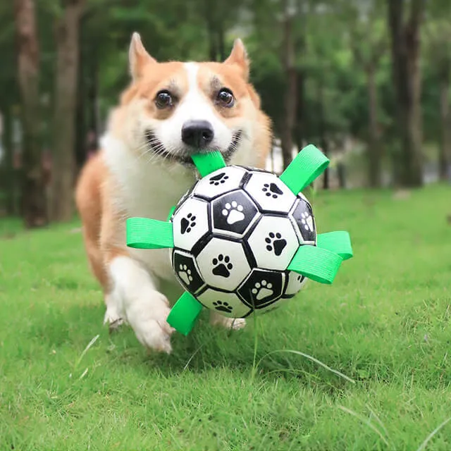 Dog Soccer Ball