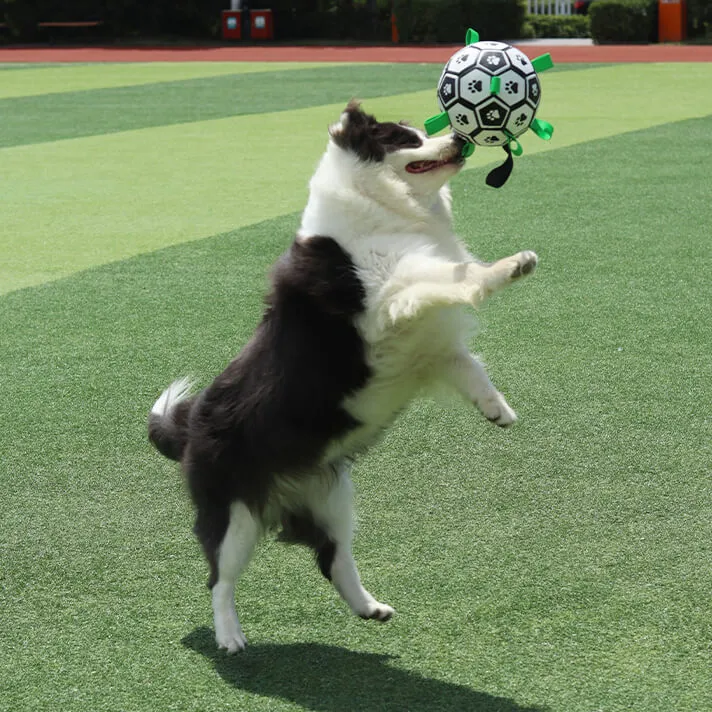Dog Soccer Ball