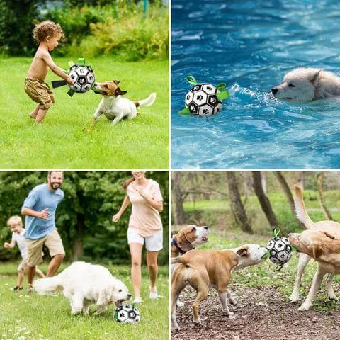 Dog Soccer Ball