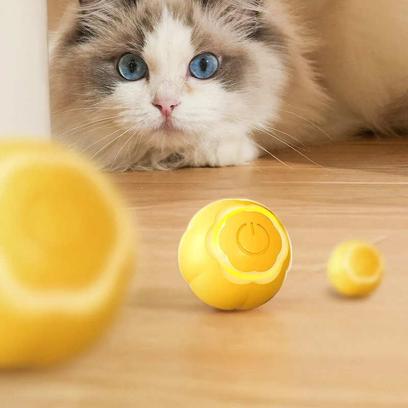 Smart Cat Toys Automatic Rolling Ball Electric Pet Toys For Cats
